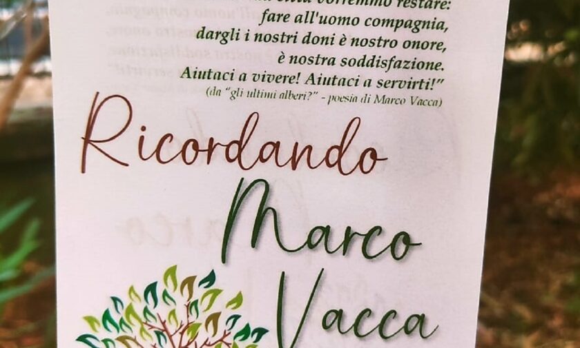 Albero in memoria del maestro Marco Vacca 