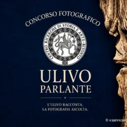 Concorso fotografico “Ulivo Parlante”: prorogata la scadenza